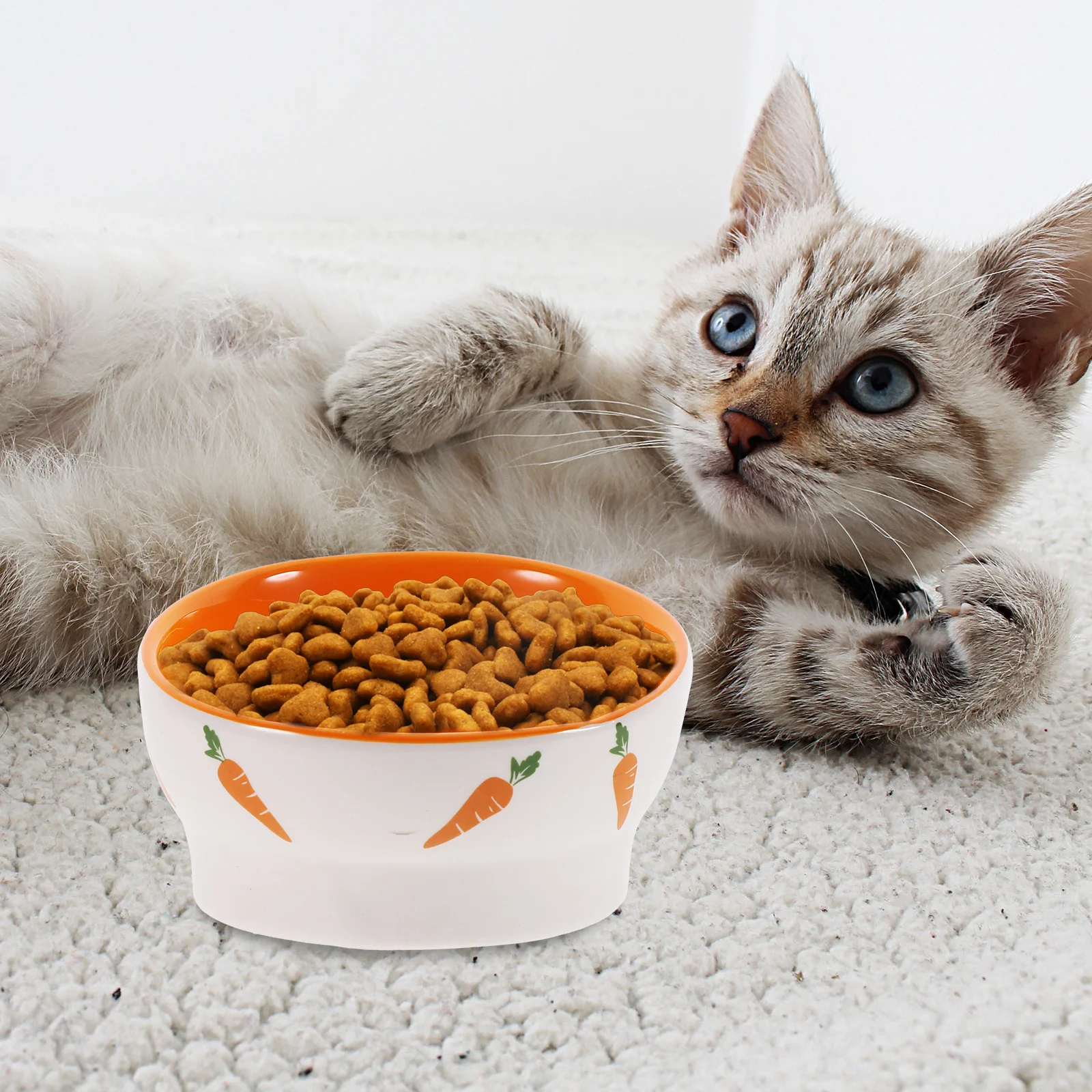 

Ceramic Cat Elevated Bowl Raised Neck Protection Feeding Bowl Nonslip Pet Food Water Dish Feeder Elevated Cat Bowls