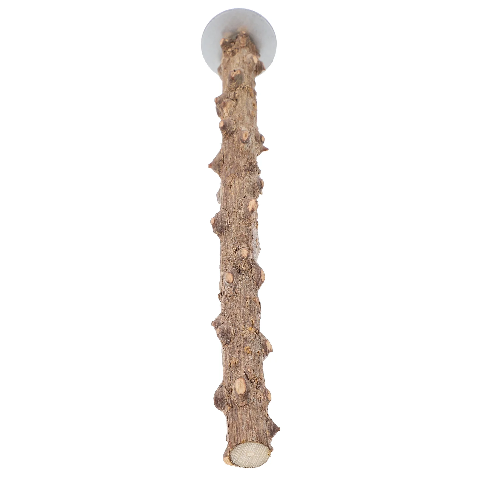 

Bird Feeders Small and Medium Toy Parakeet Perches for Cage Stand up Cages Wooden