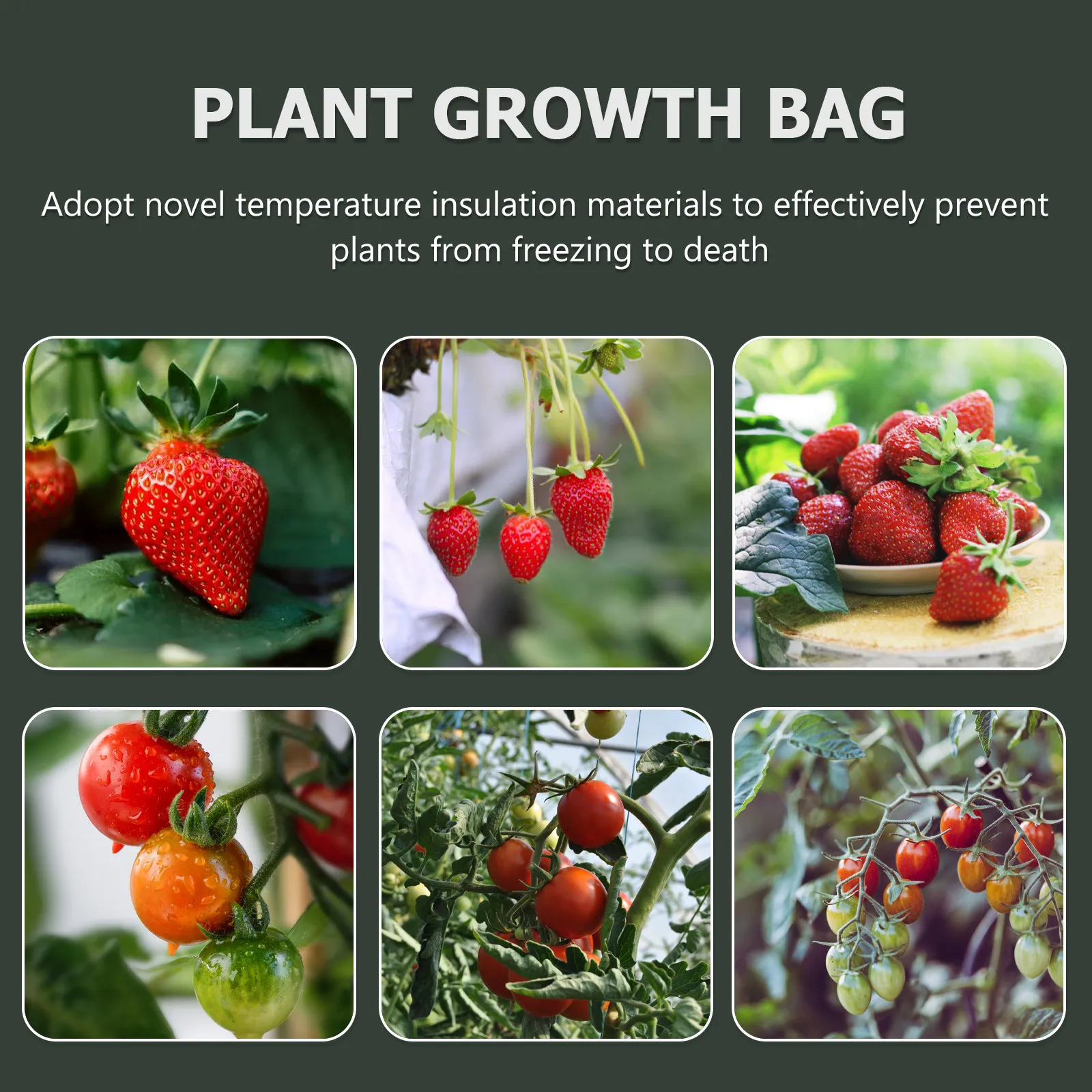1Pcs High-Durability Breathable Planting Bag Vertical Hanging Planter Container for Healthy Root Development Indoor
