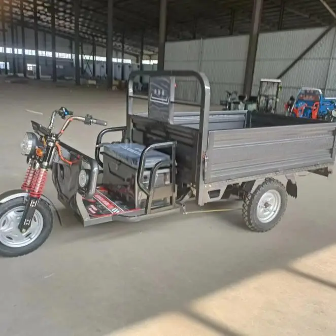 New Design 60km Long Range 1000W Power 300kg Loading Capacity Basic Customization Electric Tricycle for Cargo