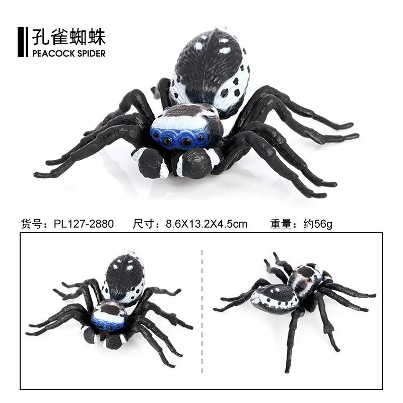 Simulation spider insect animal model solid plastic ornament peacock spider children's cognitive toy tricky props