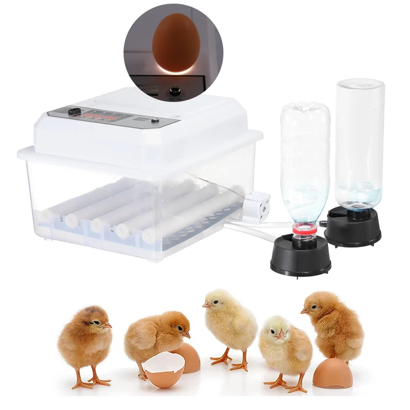 

16 Eggs Incubator Hatcher Digital Automatic Temperature Control Automatic Water Replenishment 220V/110V 12V Dual power supply