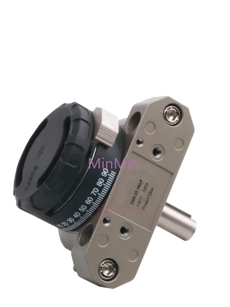 Original blade type swinging cylinder DSM DSRL/DSR-10-180-P DSR-12-180-P DSR-16-180-P DSR-20-25-32-40-180-P