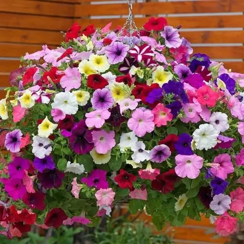 

Гравировка с гравировкой, мультяшные наклейки для детей в автомобиле, авто оконное стекло, забавный ребенок на борту, ПВХ наклейка, персонализированное украшение, авто