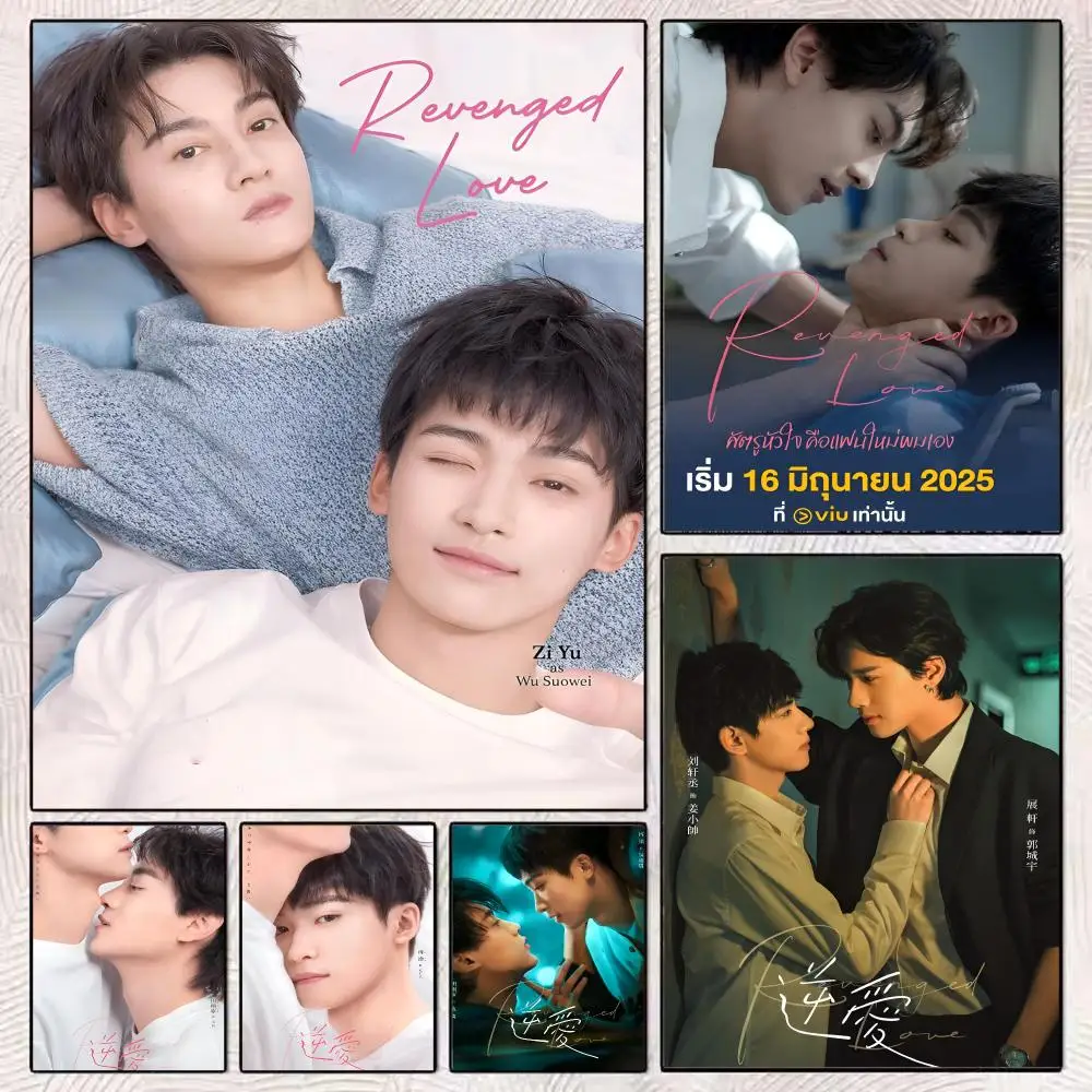 TV Reverse Love Homosexual Danmei Drama Painting Calligraphy Frameless Canvas Poster Anti-wrinkle Wall Art Perfect Home Decor