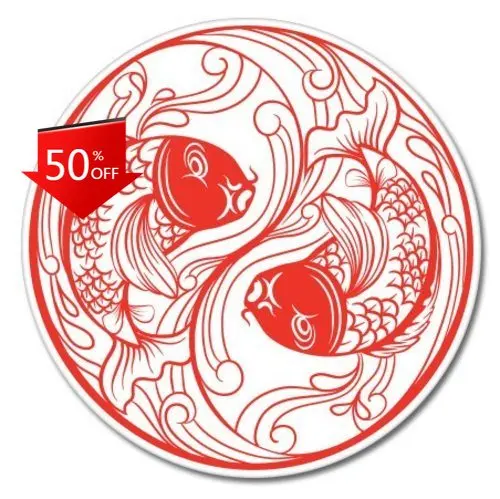 

Koi Fish Yin Yang Unique Camper Van Laptop Truck Walls Accessory Trendy Funny Retro