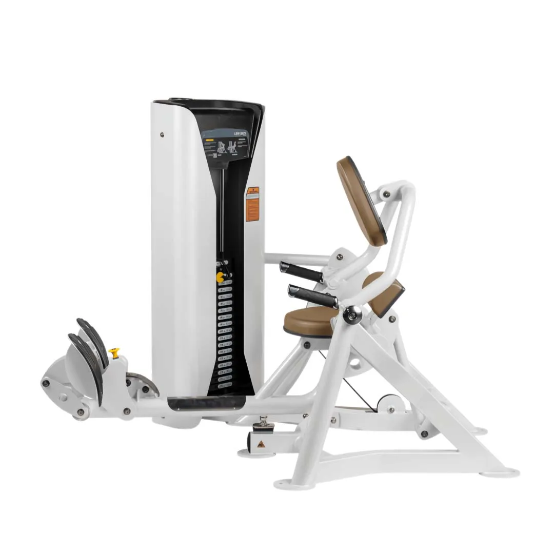 Professional Plate Loaded Seated Low Row Machine Back Training Gym Equipment 2025