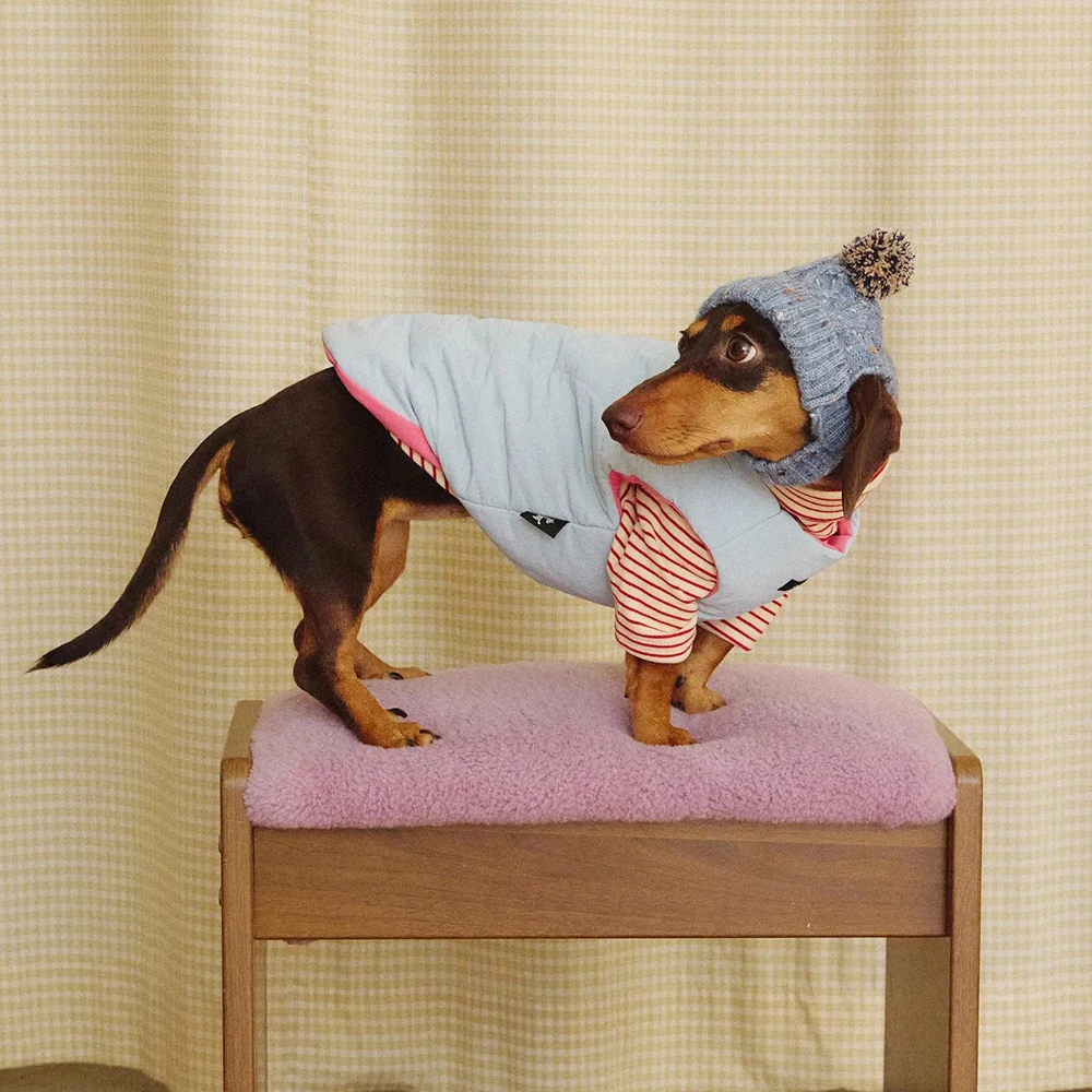 Chaleco reversible polar cálido para perro Dachshund tipo mono - imagen 2