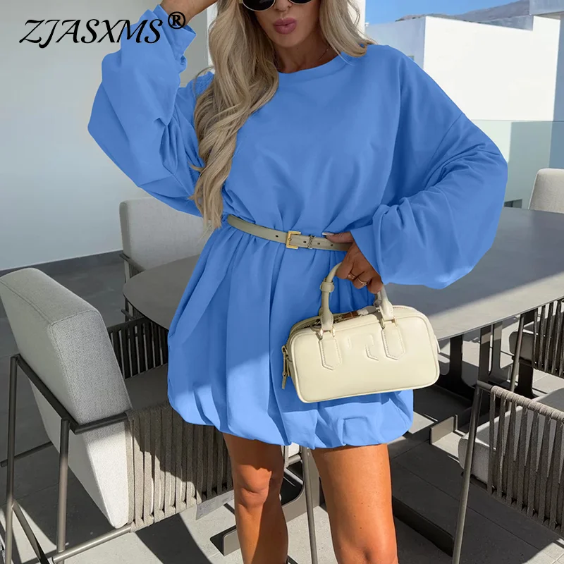 Autumn Winter Long Sleeve Sweatshirt Dress Woman Casual Round Neck Simple Pullovers Dress Fashion Solid A-Line Office Lady Dress
