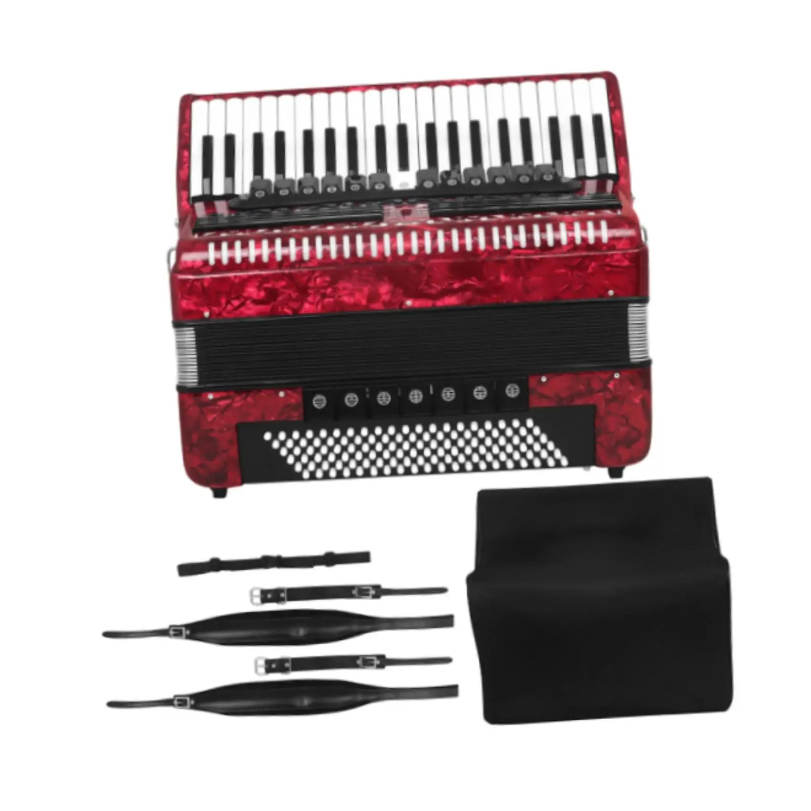 Accordion 120 Bass 41 Keys Portable Piano Accordion for Adults Birthday Gift