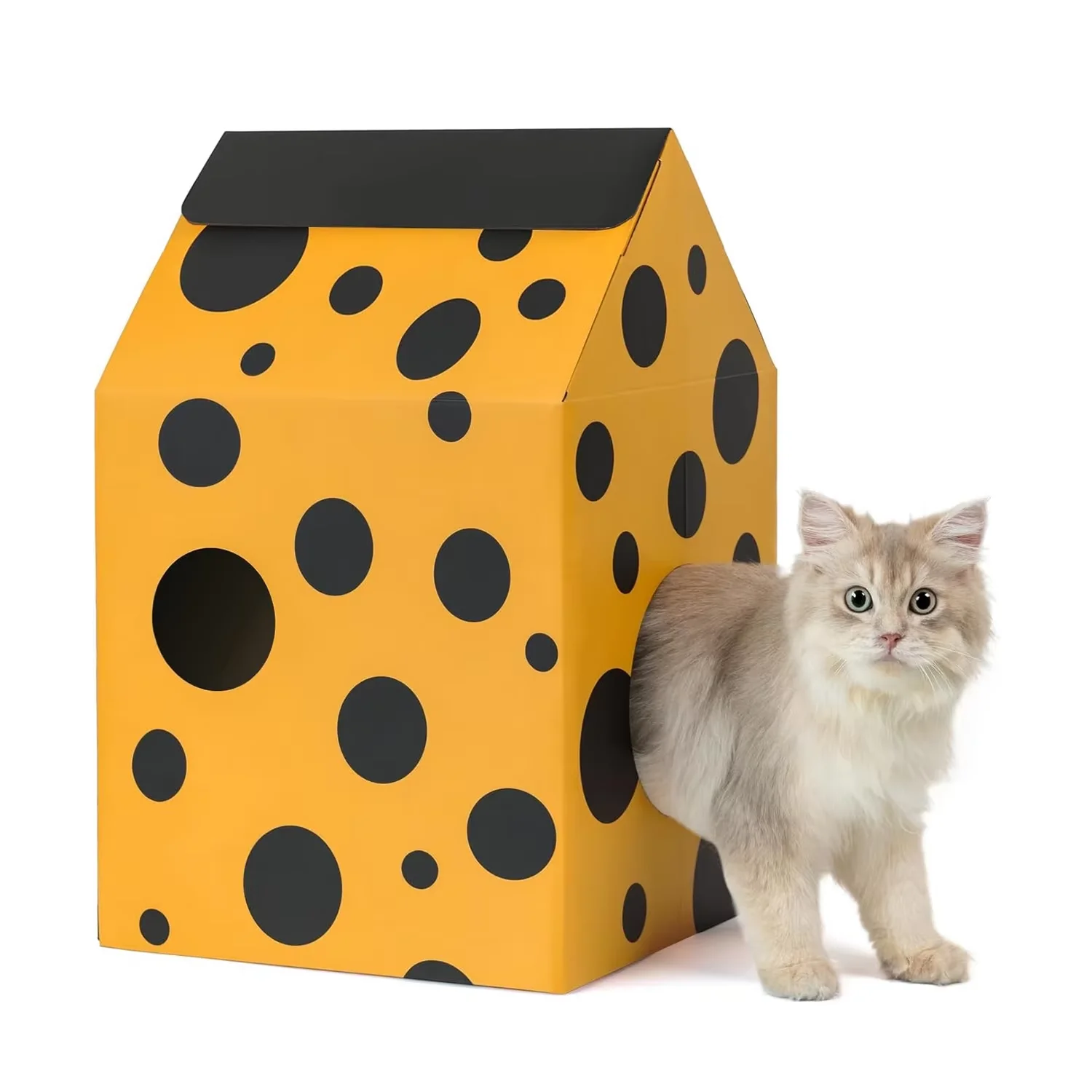 

Foldable Eco-Friendly Moisture Proof Cardboard Box OEM/ODM Room Indoor/Outdoor Use Portable All Seasons