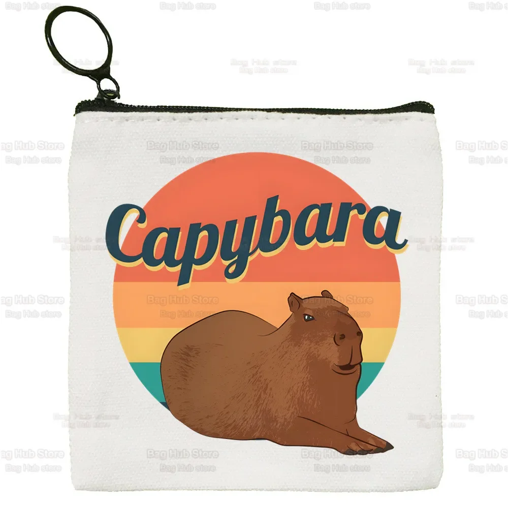 Capybaras einfache Geldbörse Studentin nur ein Mädchen, das Capybaras Leinwand niedlichen Schlüssel tasche Mini Clutch kleine Geldbörse liebt