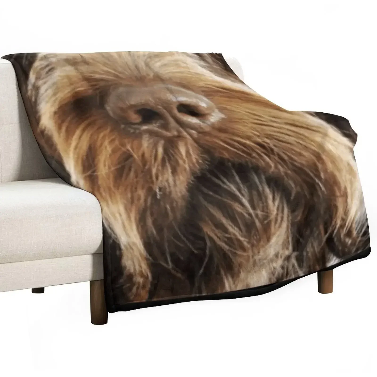 Italian Spinone Dog Throw Blanket funny gift Hairys Warm Sofas Polar Soft Plush Plaid Blankets