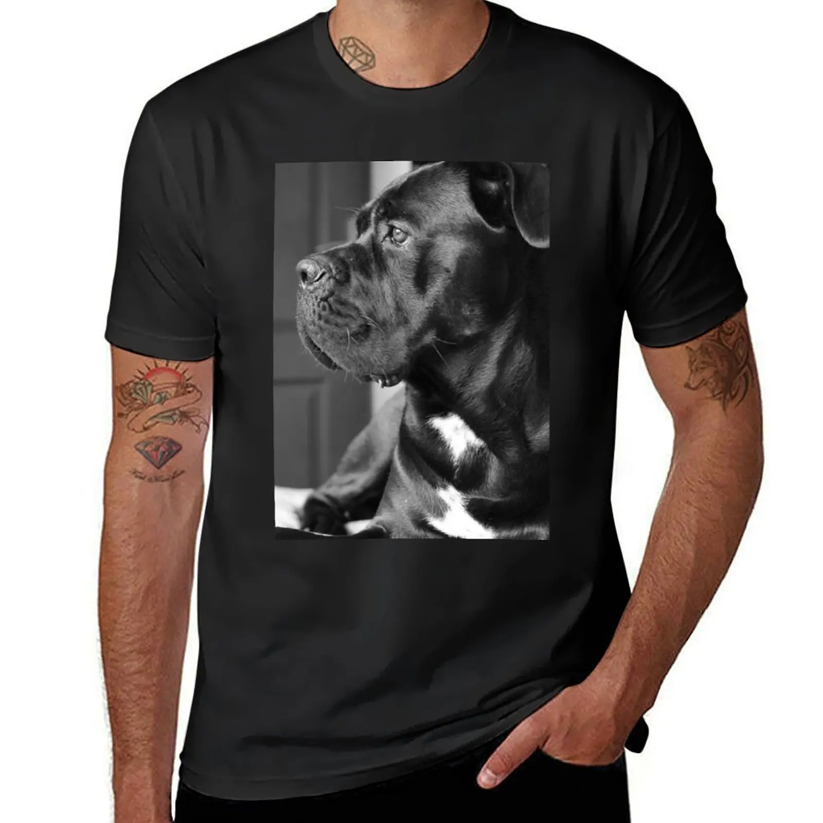 

Cane Corso, mastiff dog in black and white T-Shirt aesthetic clothes boys whites cute tops tops men clothing