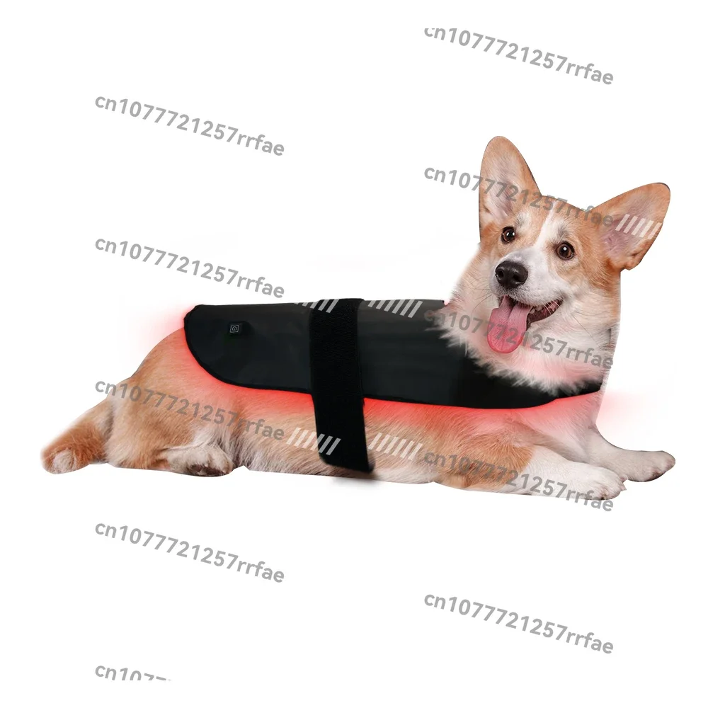 Pet Therapy Automatic Timer Smart Dog Back Therapy Package