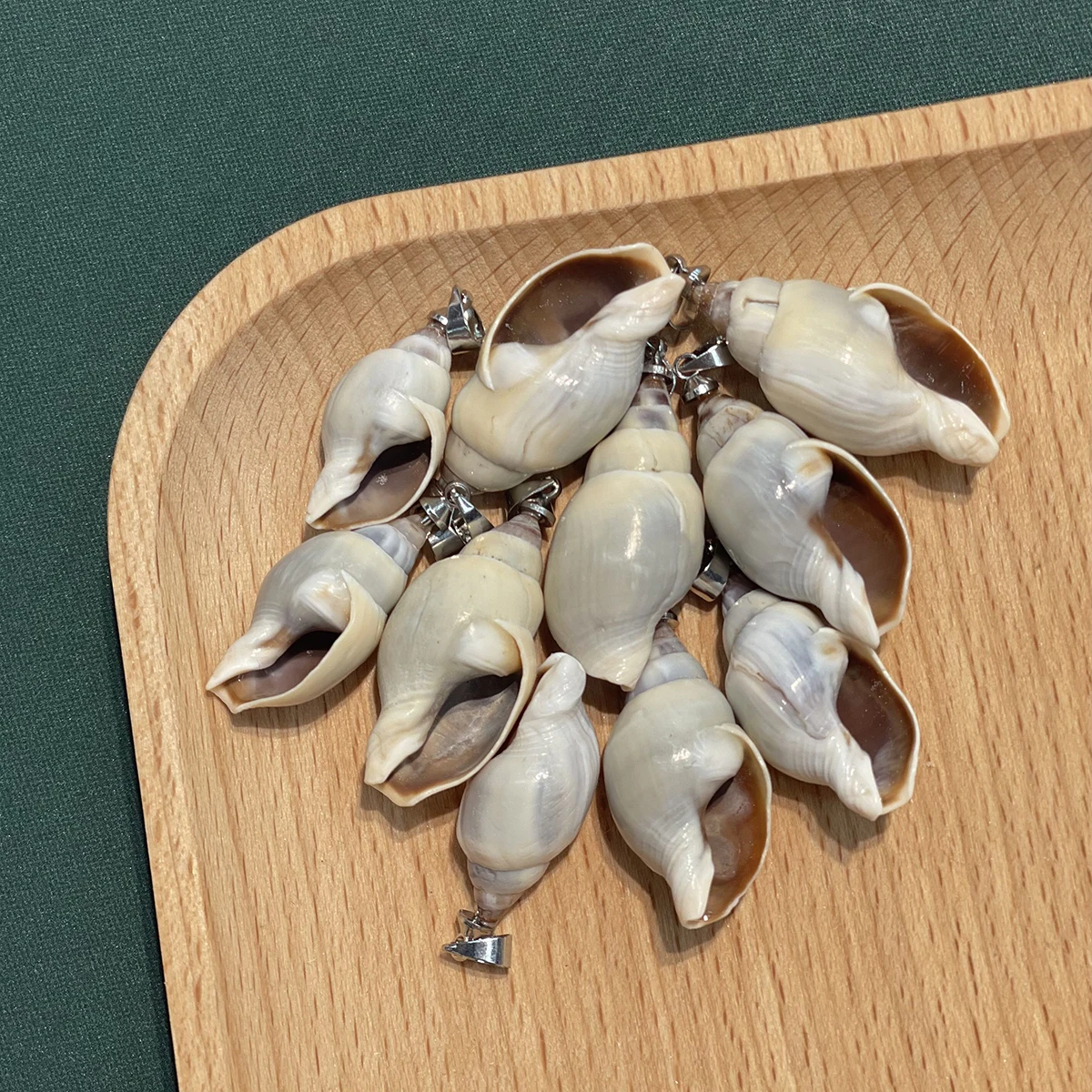10Pcs/set Natural Conch Shell Pendants Snail Shell Ocean Seashell Charms DIY Necklace Jewelry Making Craft Supplies Accessories
