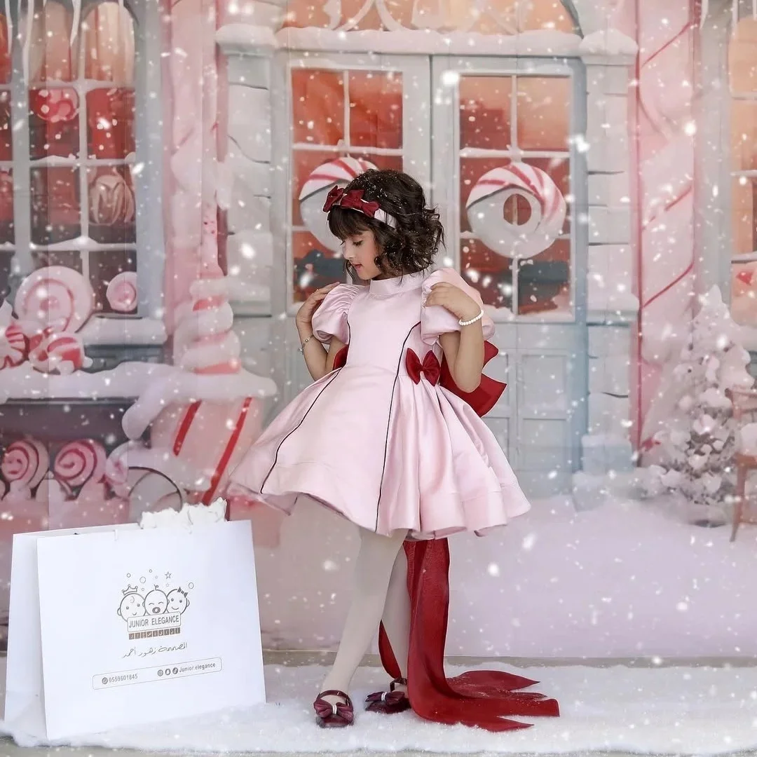 Flower Girl Dress Wedding Gown First Christmas Party Kids Formal Outfit Princess Pageant Dress for Events فساتين اطفا