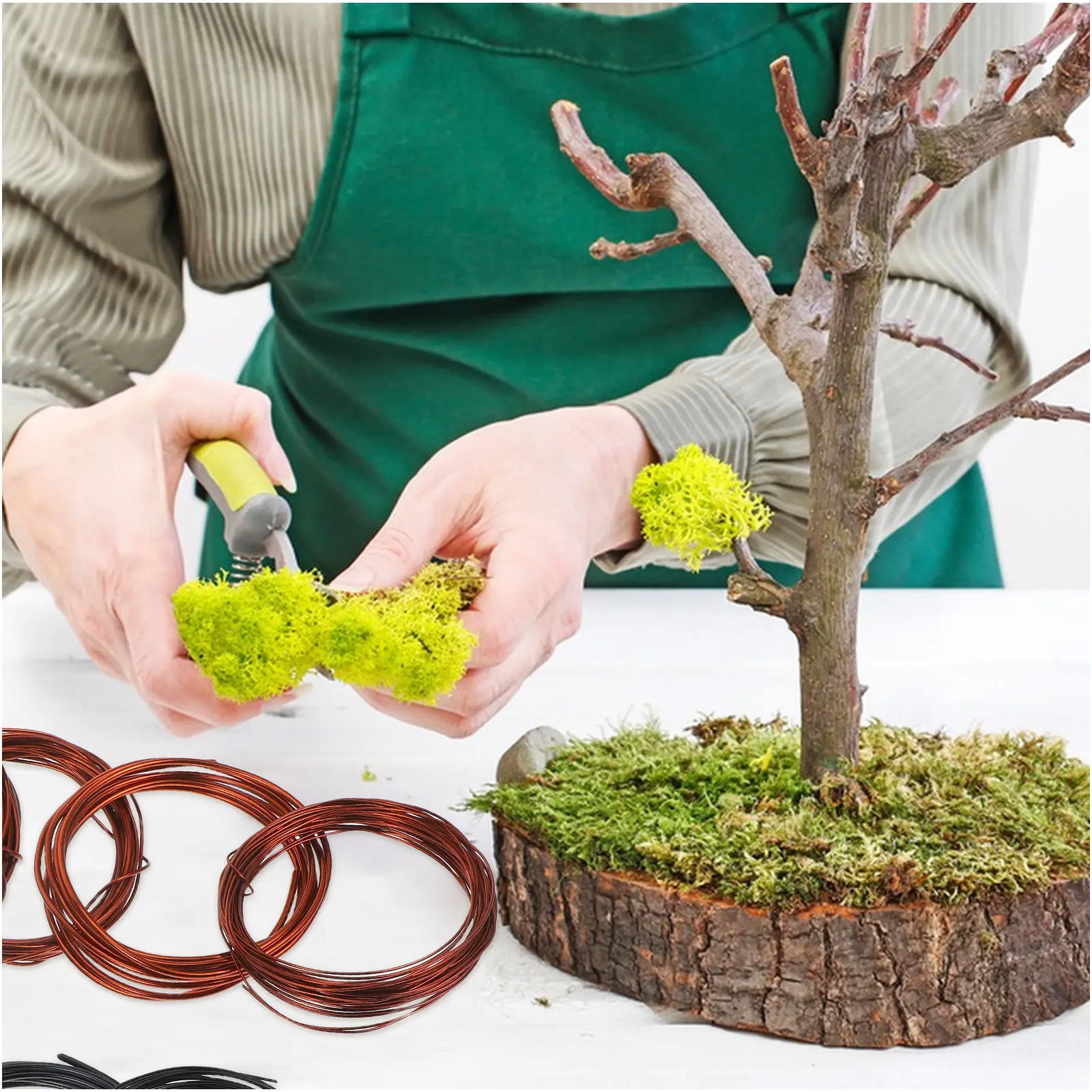 10Pcs Flexible Aluminum Wire Bonsai Training Bendable for Tree Shaping Crafts Garden Supplies Small Money Tree view 2