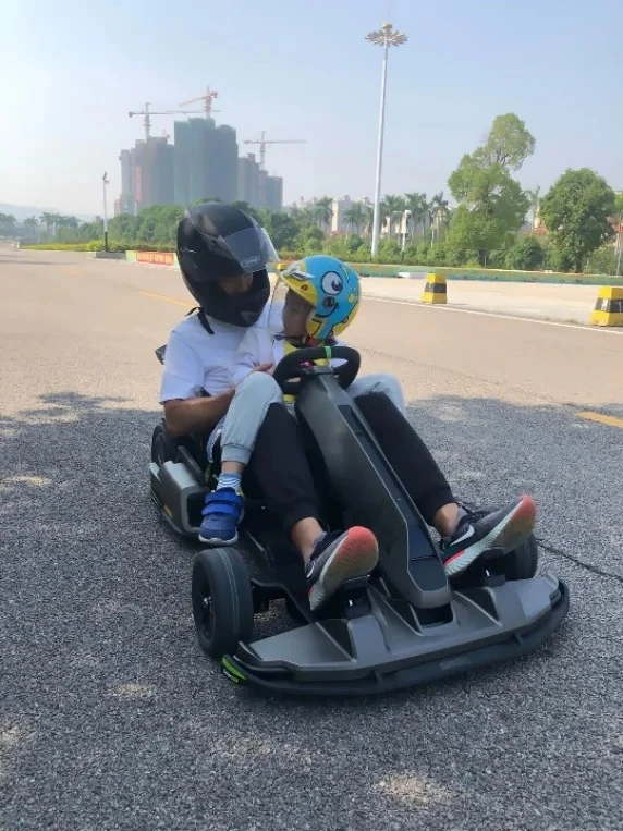 2025 عربة الذهاب الكهربائية الاحترافية عالية الجودة للبالغين للبيع #6