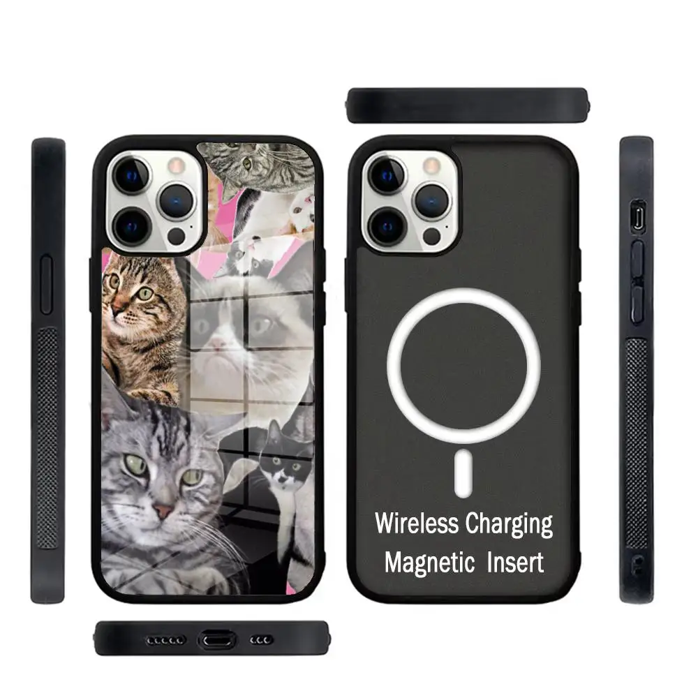 Crying Cat Memes  Phone Case Glass For IPhone 16 15 Promax 14 13 Pro 12 11 Magnetic charging Covers