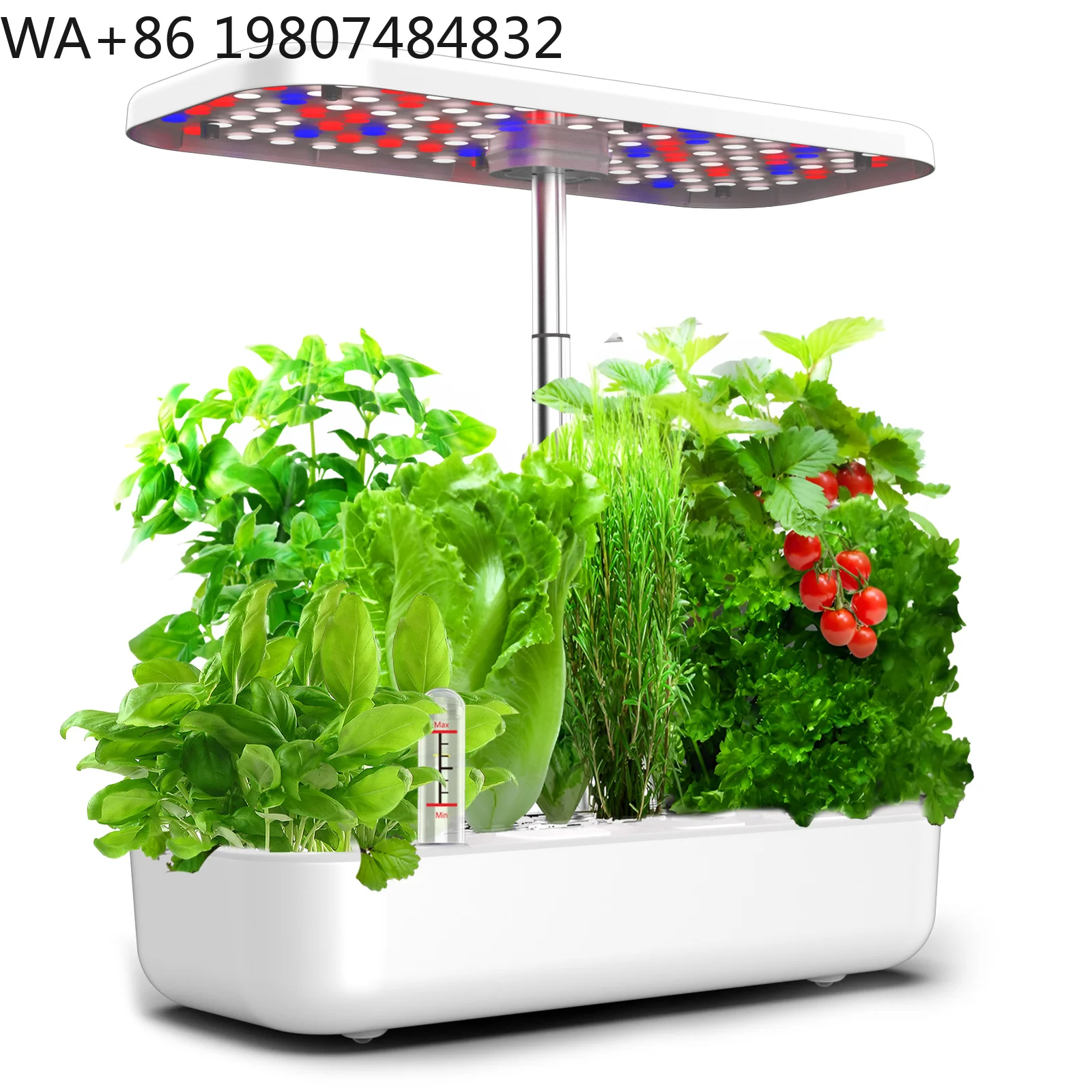 12 Pod Electronic Microgreen Hydroponic Grow Kit Timing Full Spectrum LED Light Stable Circulation Soilless Gear For  Balcony