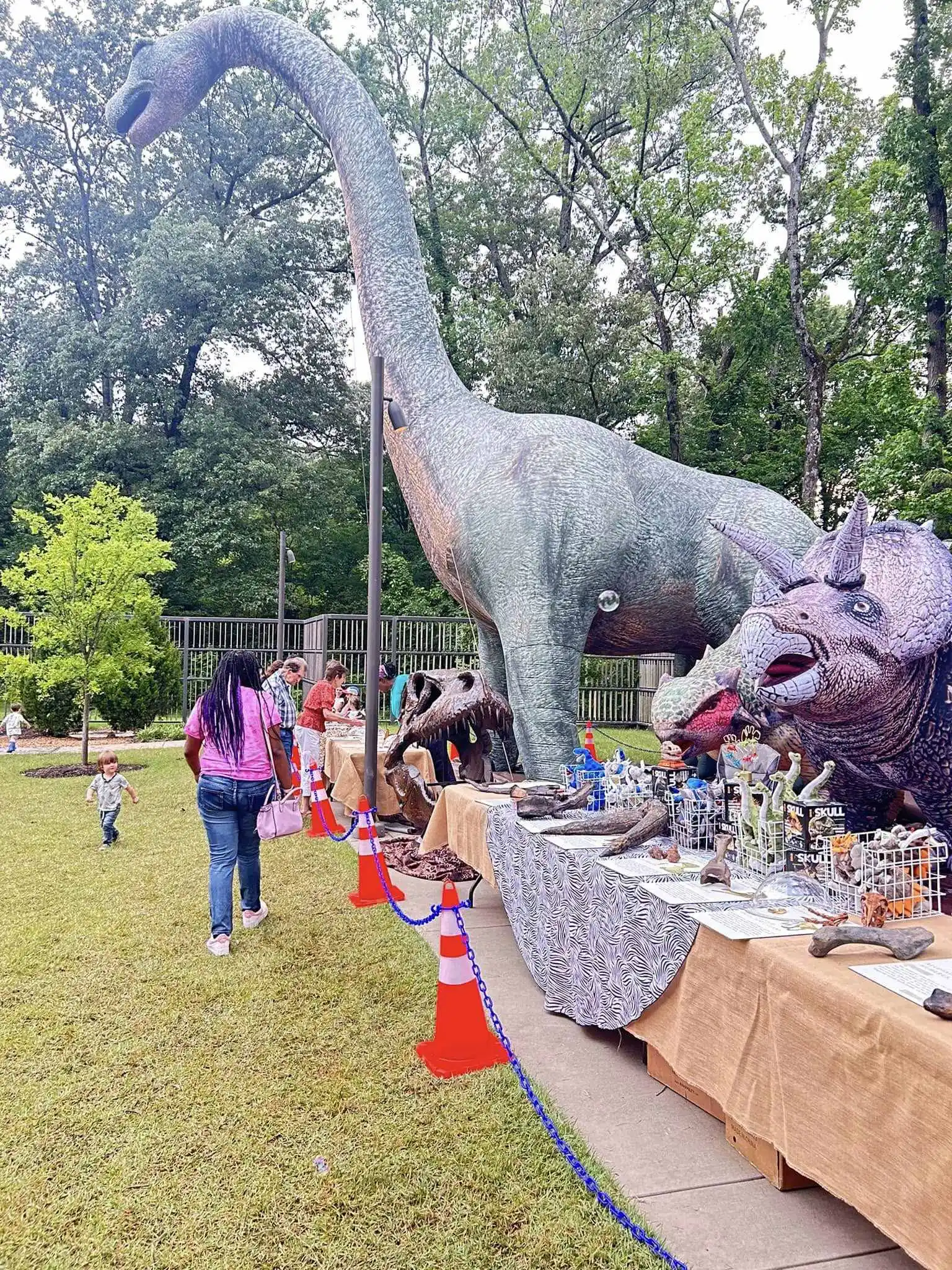 2025 globo inflable gigante de dinosaurio modelo Tanystropheus dibujos animados de animales inflables grandes para decoración de eventos Jurásicos