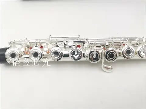 Flute Professional Cupronickel Opening C Key 16 17 Hole 677H Flute Silver Plated Musical Instruments With Case and Accessories