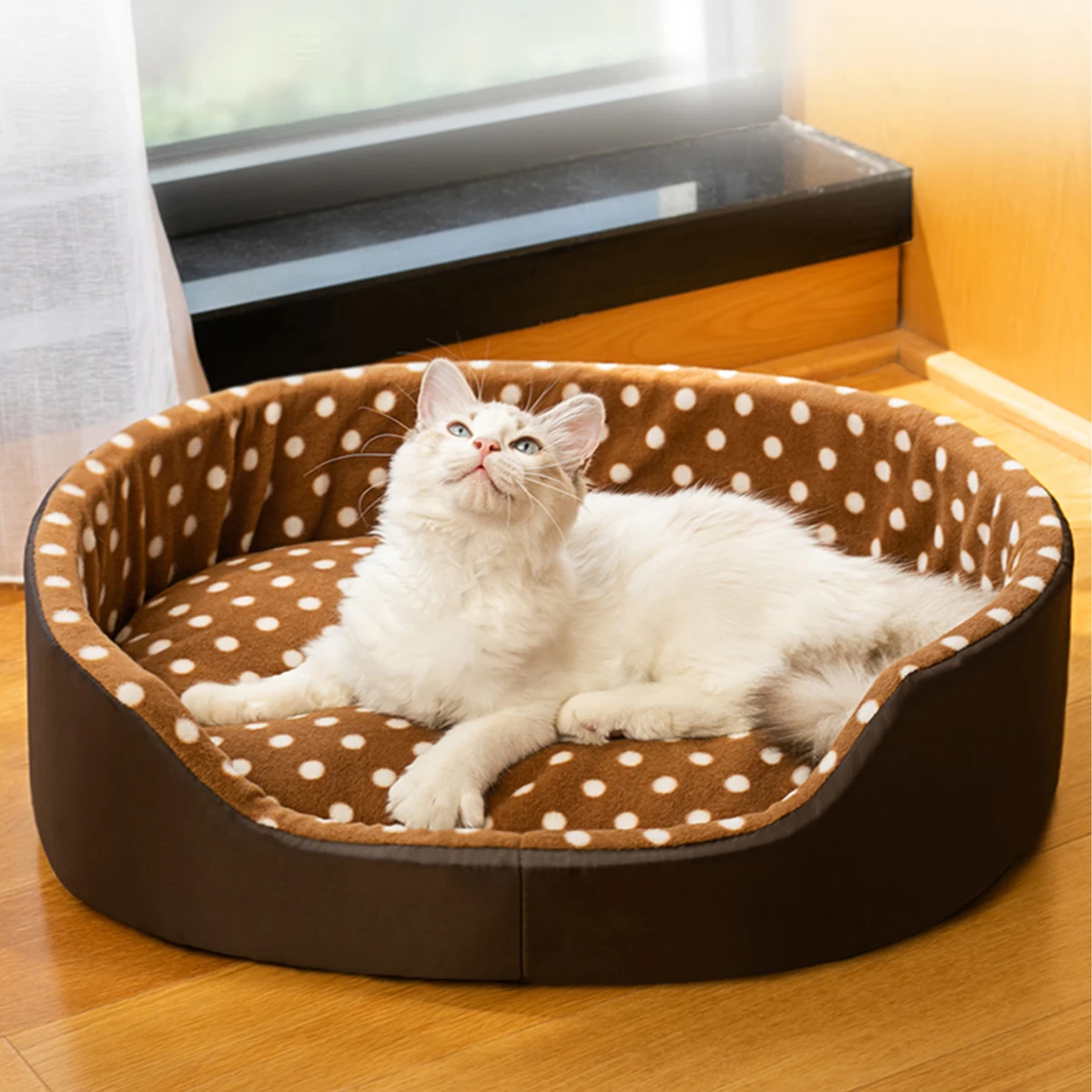 티 브라운
