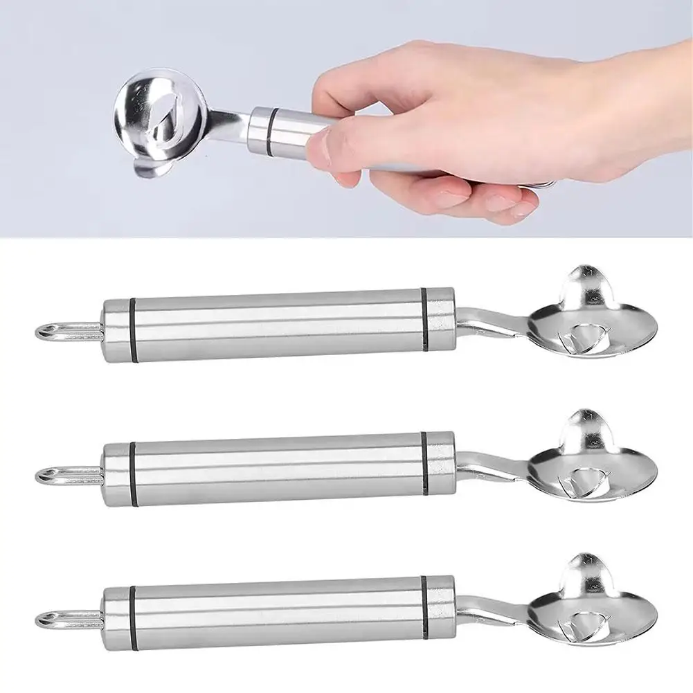 1Pcs Stainless Steel Cactus Peeler Spoon Spoon Shaped Nopales Peeler For Home Multifunctional Kitchen Manual Tools Kit view 5