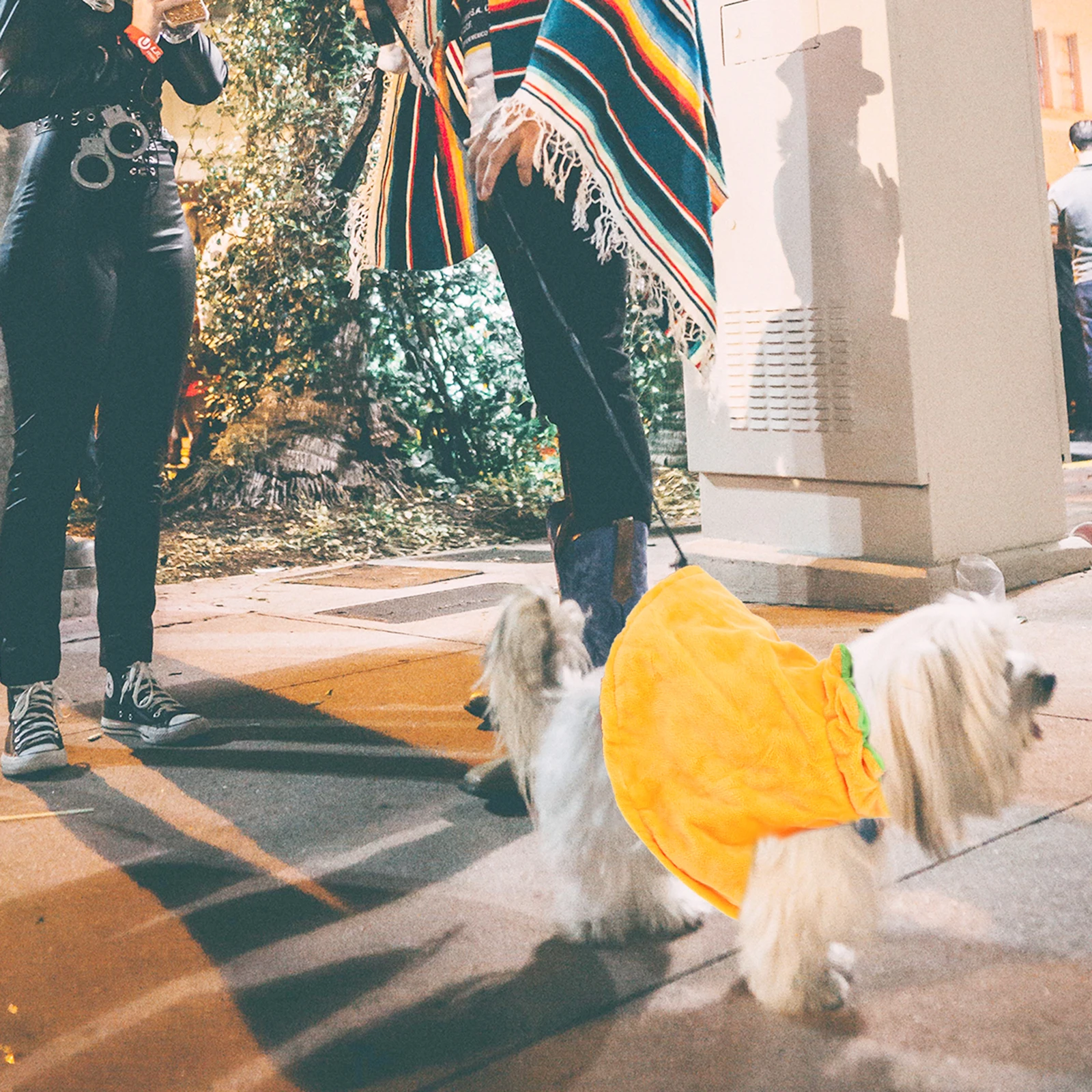 

Pet Cape Halloween Party Decoration Dog Hat Double Sided Pets Accessories Costumes for Props
