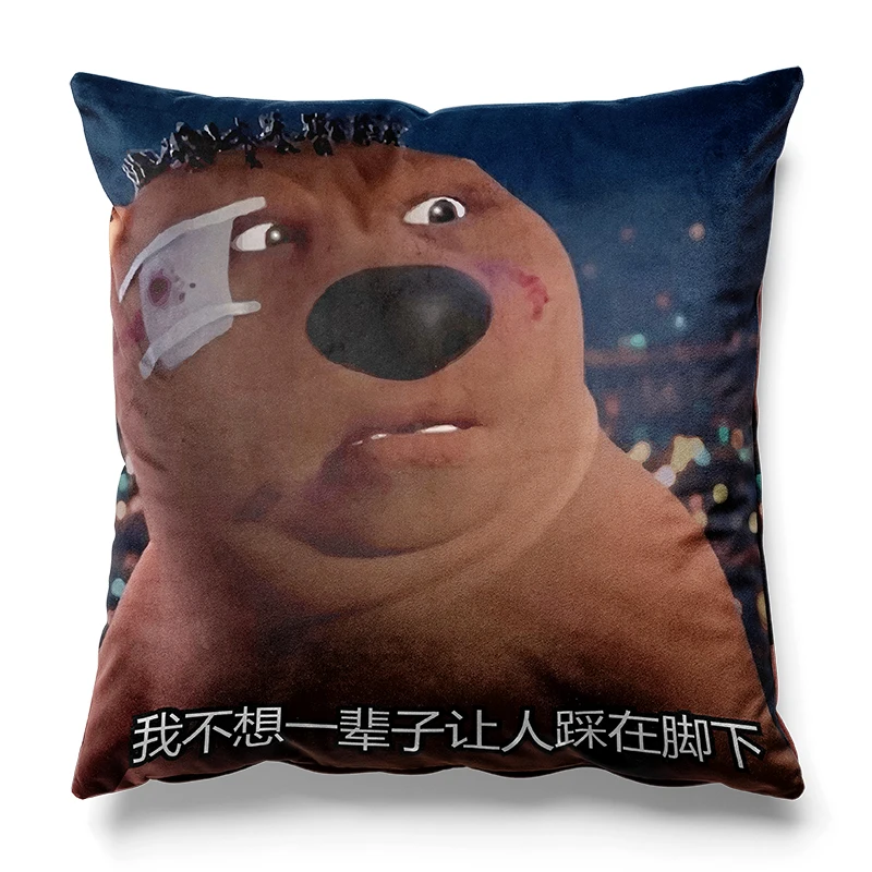 Квадратные наволочки Aertemisi с изображением китайского бобра мема «Лучше завтра», наволочки, наволочки для дивана, 45 см x 45 см