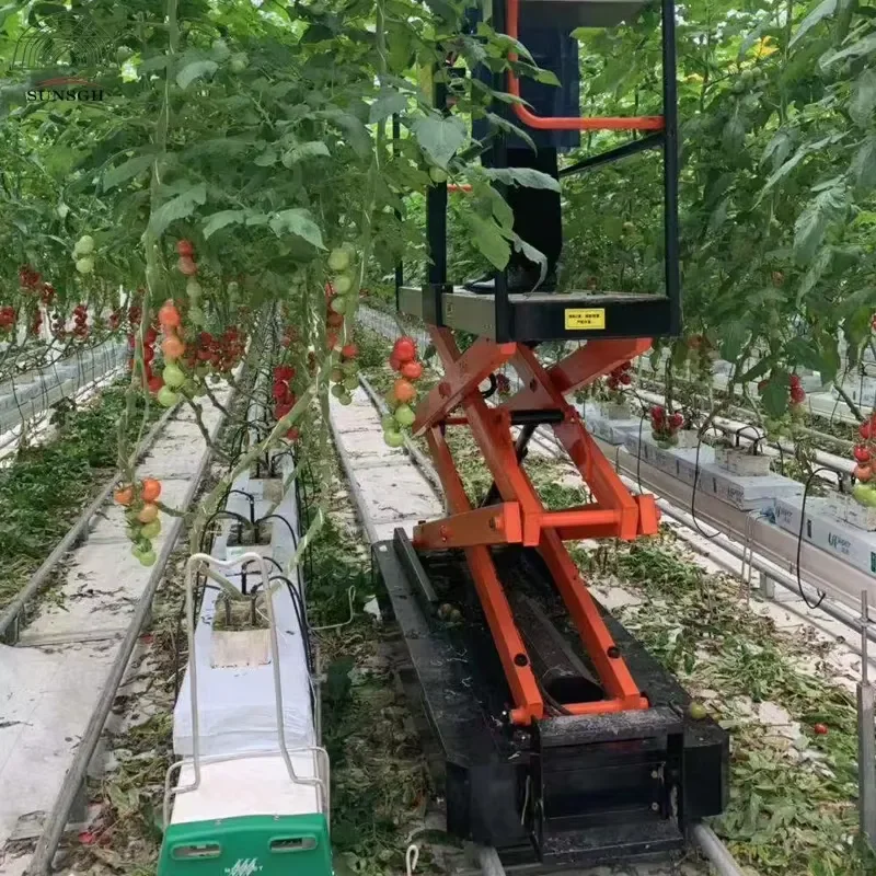 Fruit and Vegetable Picking Cart, Fully Automatic Rail Picking Cart, Greenhouse Rail Picking Machine