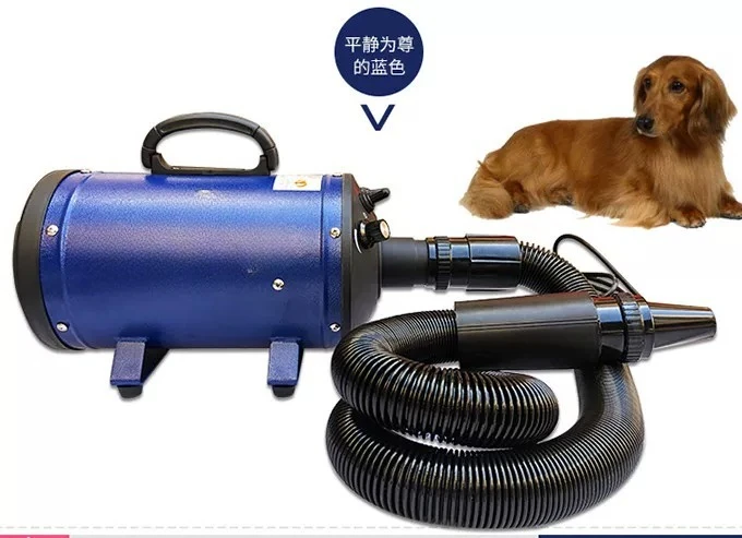 1PC BS-2400 Pet Products Dog Supplies  Dryer 220V  Variable Speed Dog Hair Dryer Single Motor Pet Water Blowing Machine