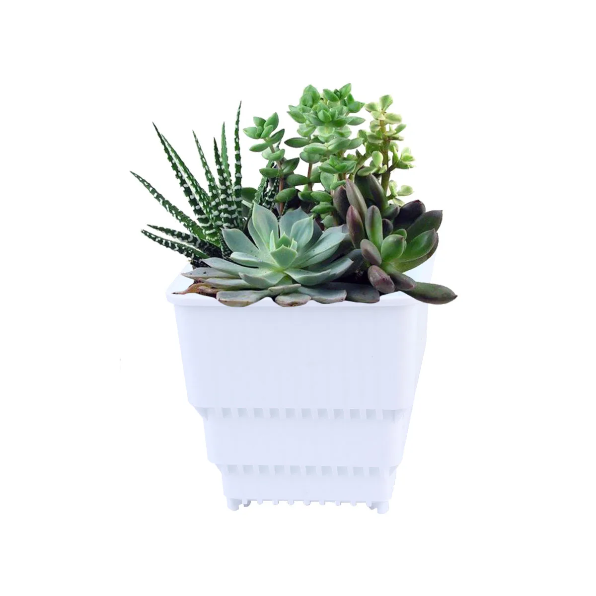 

1 set Plastic Flower Pots With Tray For Succulents Bonsai Drainage Airflow White Planters Small Lightweight Planter Boxes For