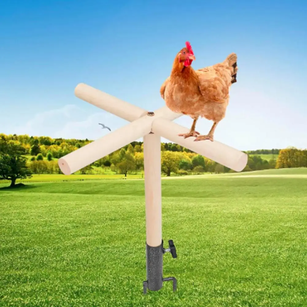 

Non- Chicken Perch Wooden Chicken Perch Toy with Metal Stake for Roosters Chicks Parrots Poultry for Birds for Chickens