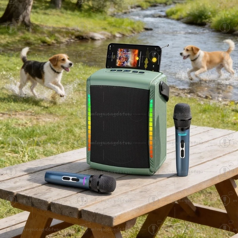 Portable Bluetooth Speaker, Multifunctional Outdoor Radio with Antenna, Dual Mic Karaoke Colorful Soundbox