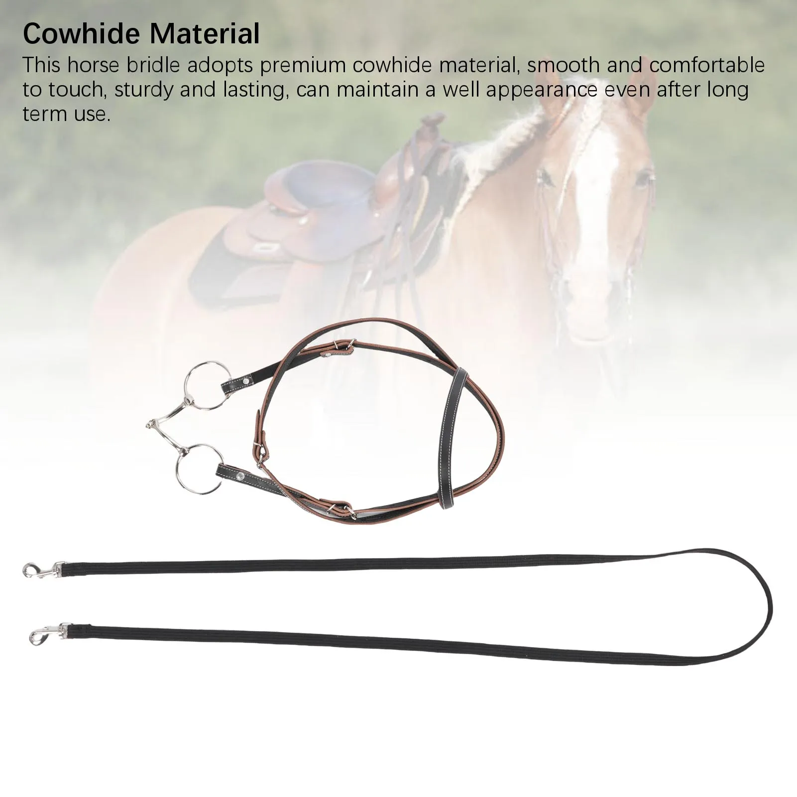 Thumbnail 4 - #41 Cheap Horse Halters Worth Buying