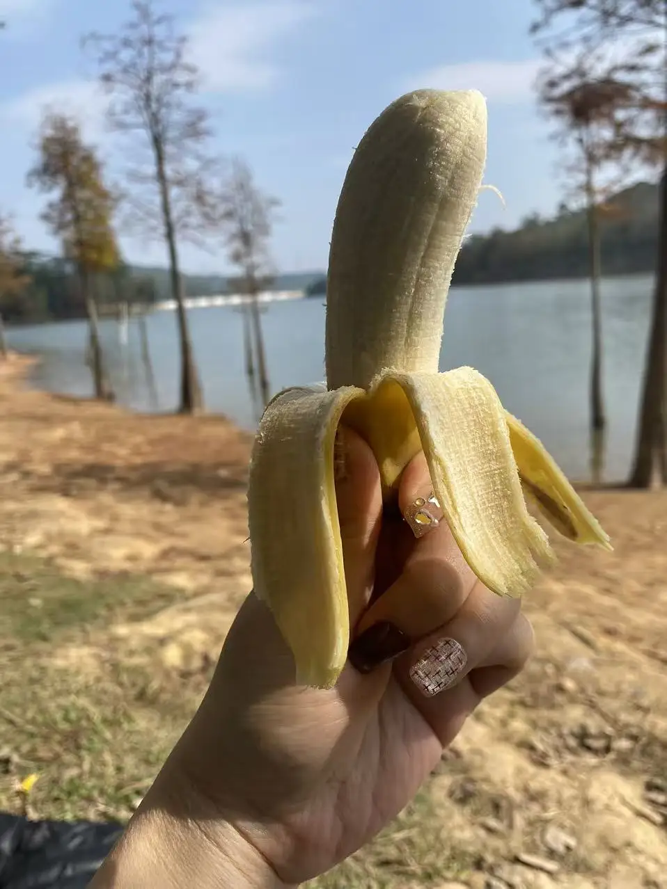 실물 포토 리뷰