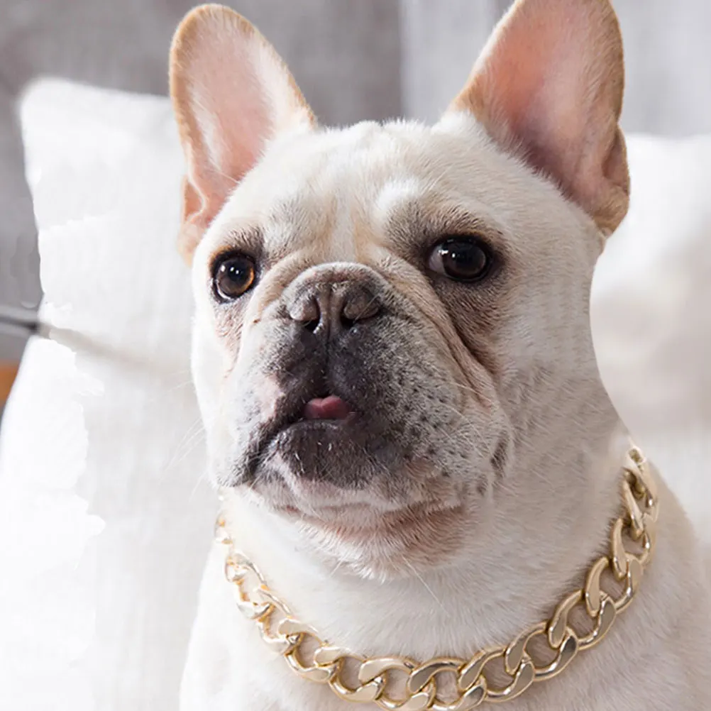

Pet Decorative Supplies Dog Necklace Goldendoodle Chain Stainless Steel Collar Round Edges Polished Surface Smooth Daily Wear