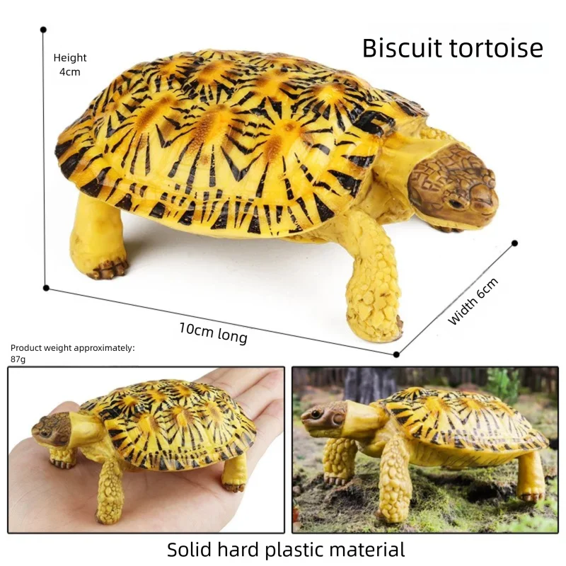 Oenux Simulations-Schildkröten-Set: Alligator, Galapagos-Schildkröte, Chinesische Weichschildkröte Figuren und Puppen – Detail 3