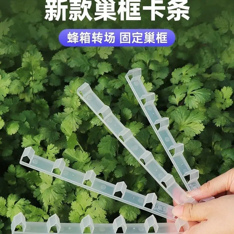 New Five-port Card Strip Beehive Special Nest Frame Holder, Bee Pressure Spleen Clip, Plastic Card Frame Beekeeping Tool
