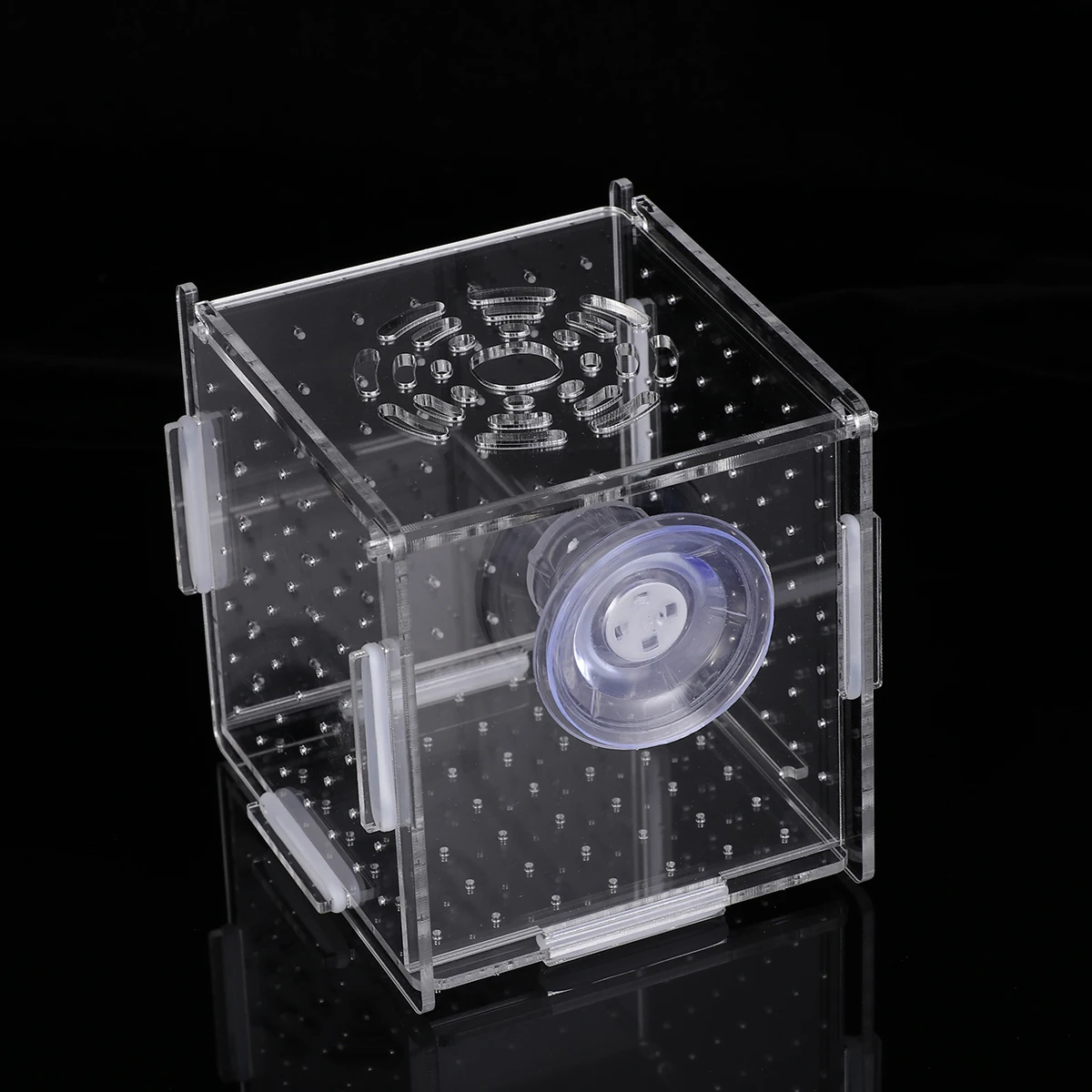 

Fish Tank Isolation Box Fry Incubator Aquarium Case Specimen Container Small Hatching Boxes Viviparous Fish Betta Guppy