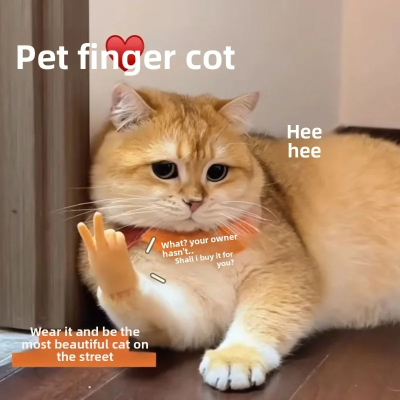 جديد القط دعابة لعبة قفازات الاصبع بسط مرونة الحيوانات الأليفة هريرة اللعب التفاعلية مجموعة التدريب التهيأ جهاز تدليك متعة لعبة عدة #3
