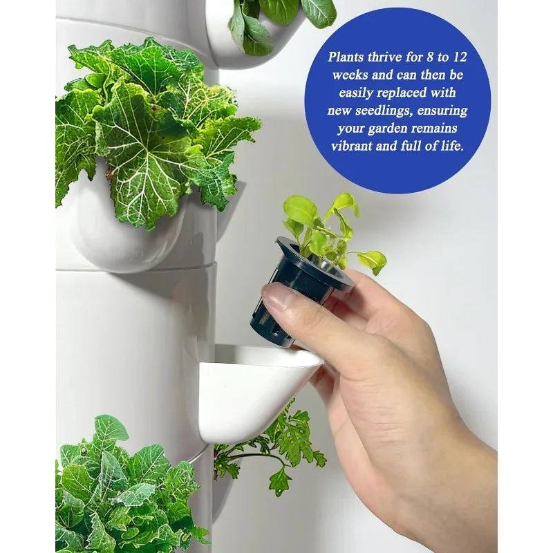 

Sjzx Hydroponic Growing System with Lights (No Seedlings Included) |25-Plant Hydroponic System