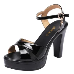 10CM High Heels Summer New Fish Mouth Sexy Sandals Women's Shoes Gold Sliver New Korean Version Waterproof Platform Word Buckle