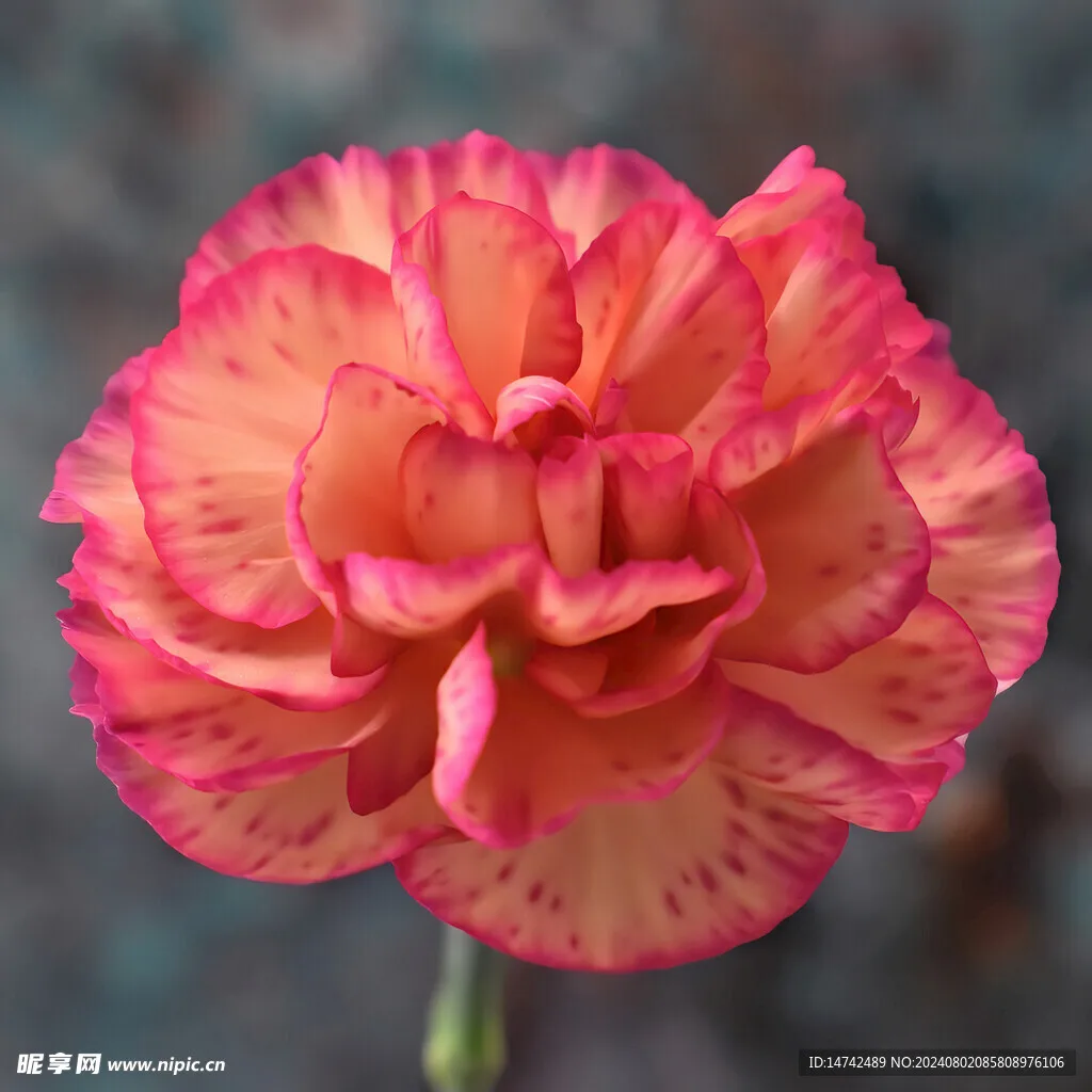 

Мягкие резиновые шины 0,7 дюйма (40x16 мм) с пенопластовыми вставками для радиоуправляемых краулеров Axial SCX30 в масштабе 1/30, включая Micro Crawler.