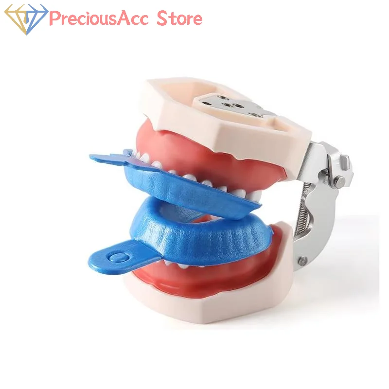 50pc/Bag Dental Impression Trays Disposable Fluoride Foam Dentistry Material Small Medium Large Size Selection