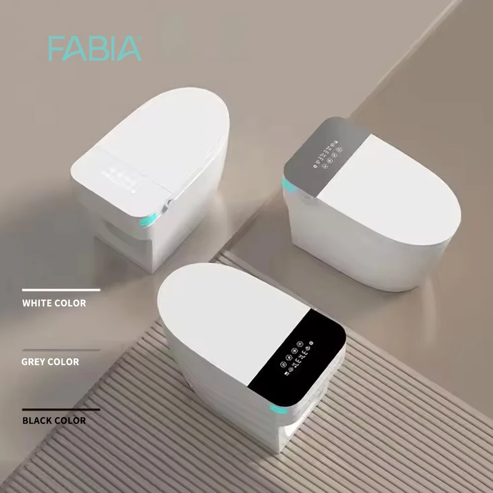 FABIA CE Certified Wholesale Automatic Ceramic Commode Electric Bidet Modern Design Floor Mounted Smart P-Trap S-Trap...