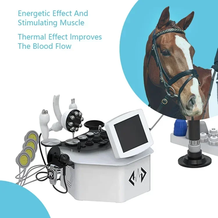 Physiotherapy Horse Therapy Pain Relief Shock Wave Physical Therapy Equipments Eswt Shockwave Therapy Machine For Veterinarian