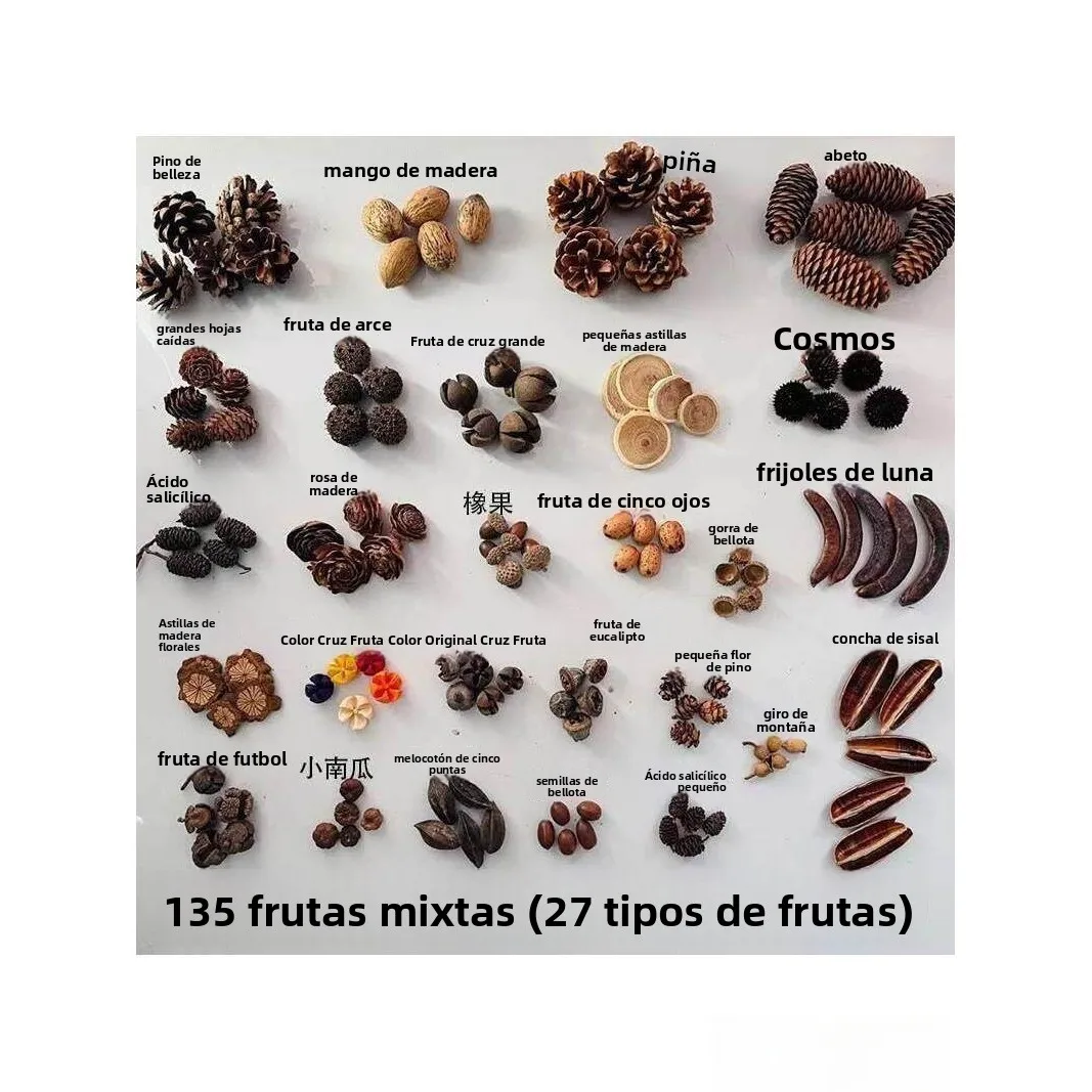 Kit de Manualidades con Frutos Secos, Conos de Pino y Otros Materiales para Creación Artística en Jardín de Niños, 27 Tipos d...